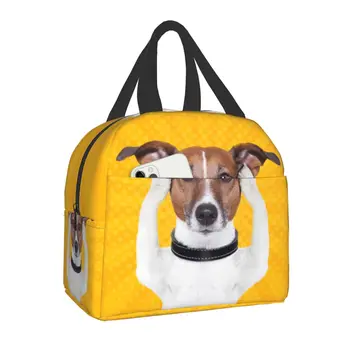 Собака Джек-Рассел-терьер, Забавный Мем, Портативный Ланч-бокс для женщин, термоохладитель, еда, изолированная сумка для ланча, Школьники, студенты